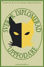 Diplomeringslogo